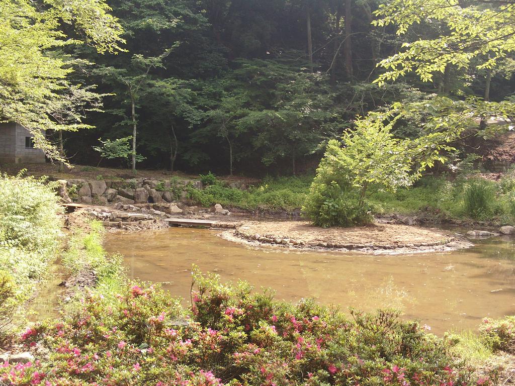 芦山公園