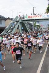第30回菊花マラソン