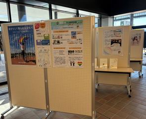 展示写真