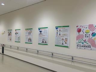 展示