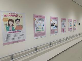 展示２