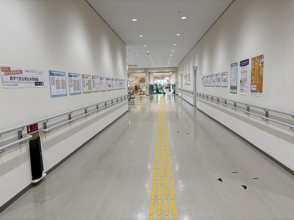 展示