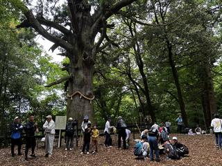 山頂