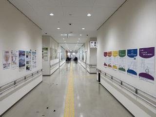 展示１