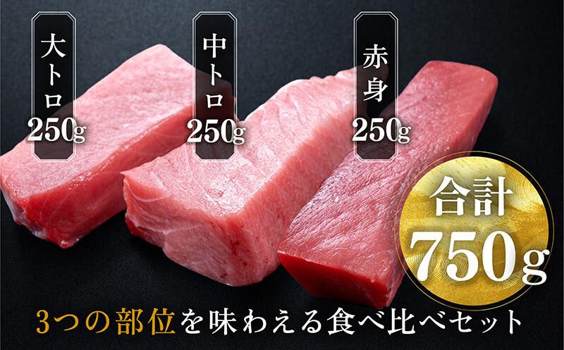 マグロセット５