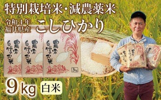 １万円-5