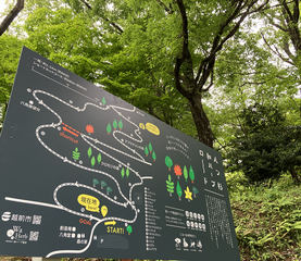 八ツ杉和ハーブロード２