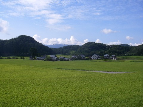 里地里山