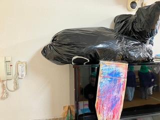 クジラ