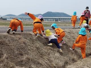 土手のぼり