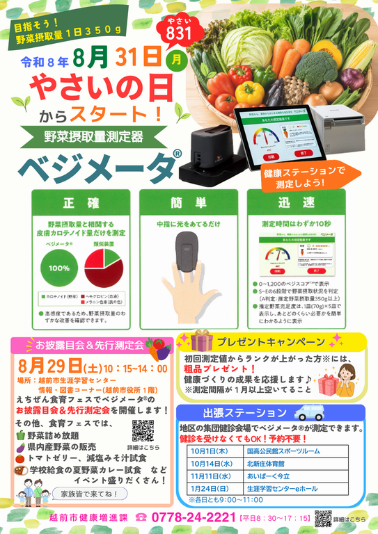 ベジメータちらし