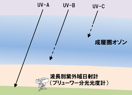 shigaisen
