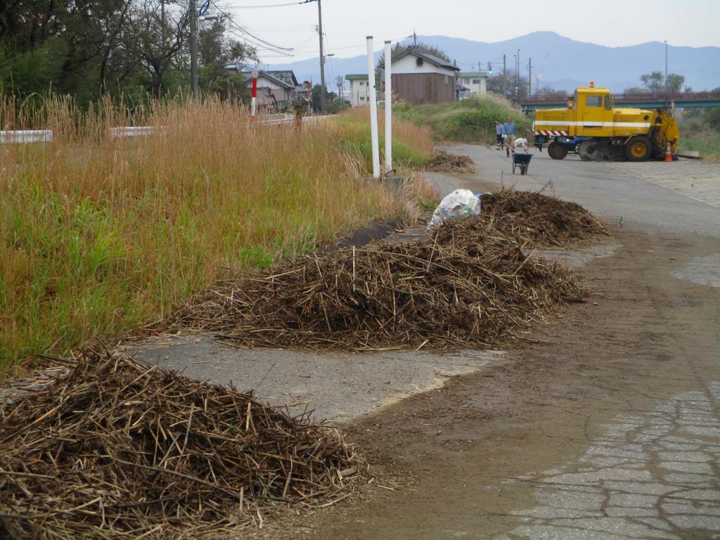 平成29年10月28日日野川河川敷清掃の写真3