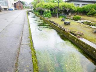 平成28年治佐川の写真