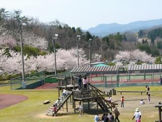 みどりと自然の村の写真