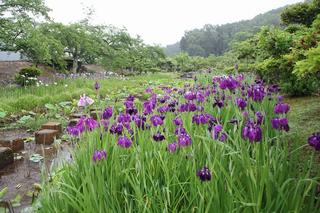 下段の池相聞歌碑1