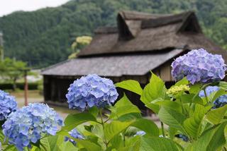 恋の万葉縁結び絵馬