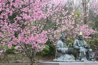 桜と花がたみ像