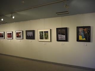 フォトクラブ味真野写真展