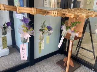 秋の七草展