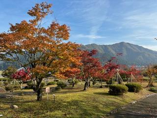 紅葉