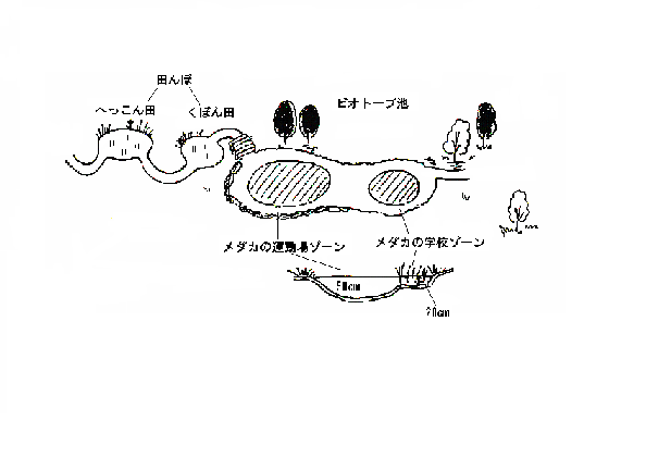 ビオトープ地図