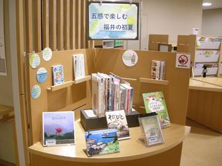 チラシ