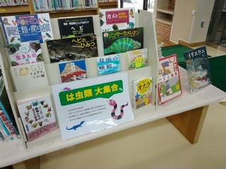 は虫類