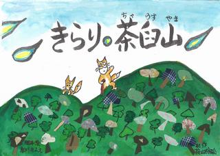 13_kirarichausu
