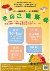 チラシ
