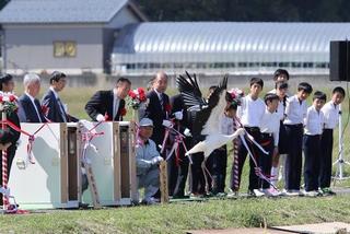 コウノトリ放鳥式典の様子