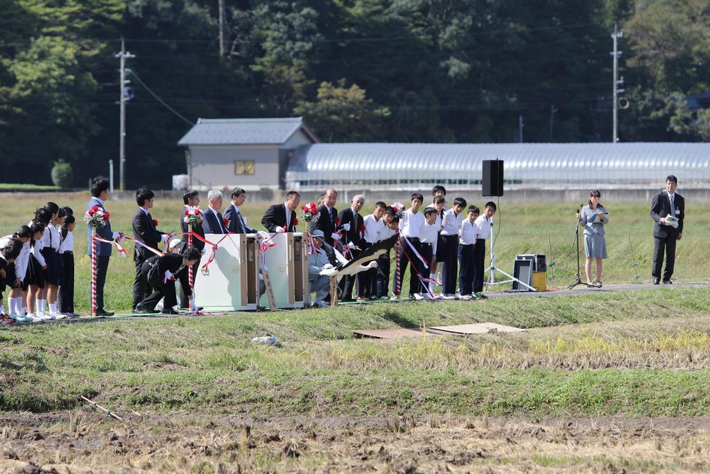 コウノトリ放鳥式典