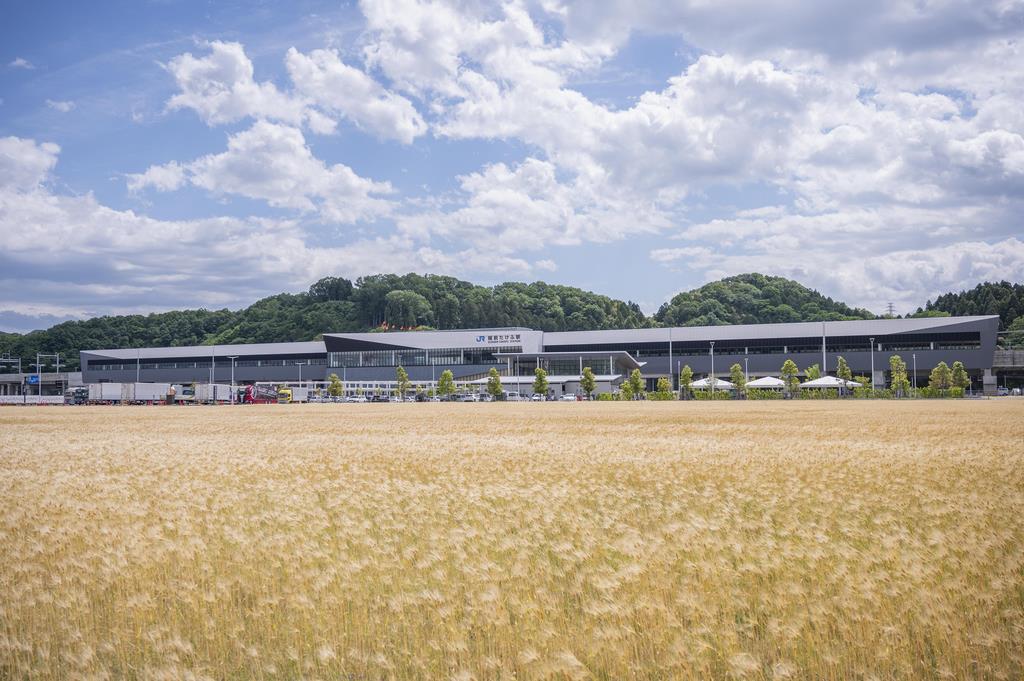 越前たけふ駅　六条大麦畑