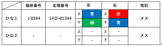 ひな情報