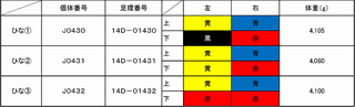 ひな個体番号