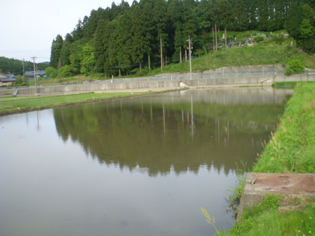 餌場池の写真