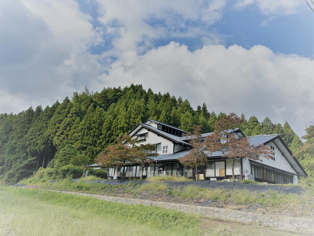 全体写真