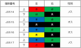 性判別結果