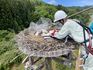 0520安養寺捕獲