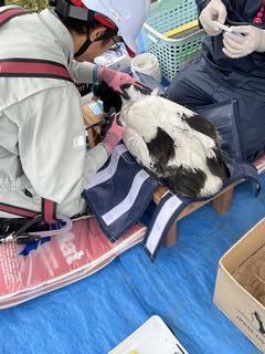 0521大塩検体