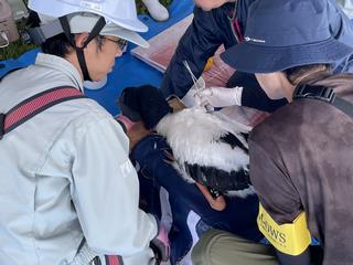 0520下中津原検体