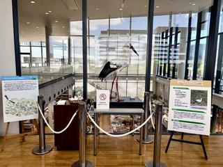 0808道の駅展示