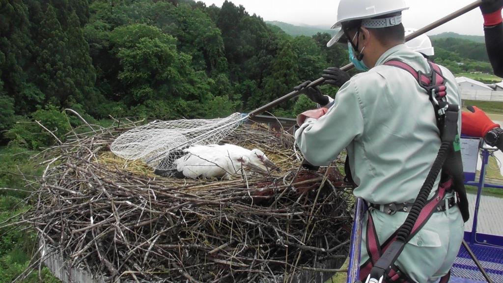 捕獲２安養寺