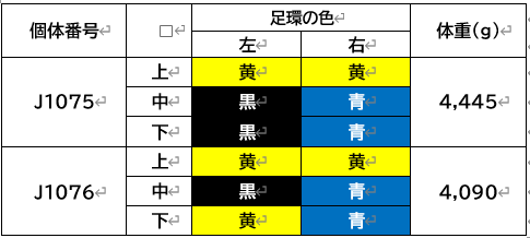 表2スクショ