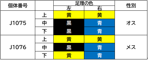 2スクショ