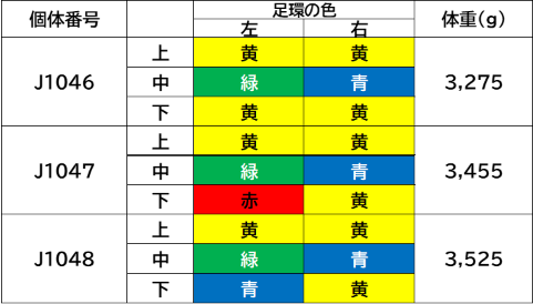 表３スクショ