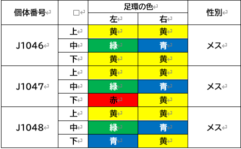 ２スクショ