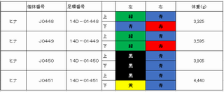 下中津原町