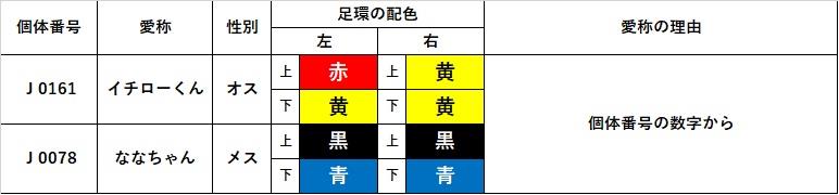 親鳥の愛称