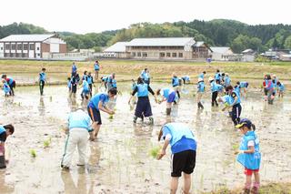 田植え